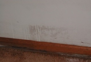 Mold and Mildew problem