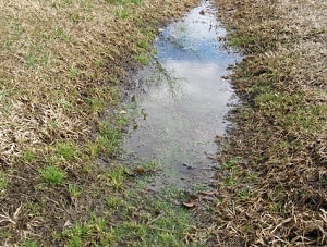 drainage, water in yard