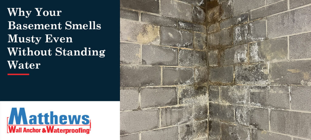 Matthews-Wall-Anchor-Blog_Why-Your-Basement-Smells-Musty-Without-Standing-Water